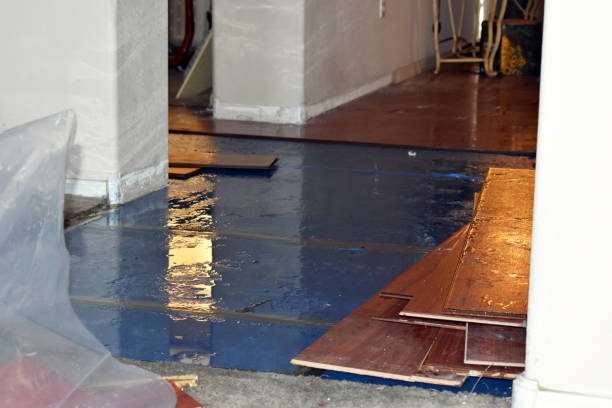 Professional Water Damage technician working in Newton, MA