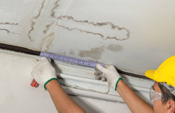 Reliable Water Damage contractor in Newton, MA by Water Damage Irwin